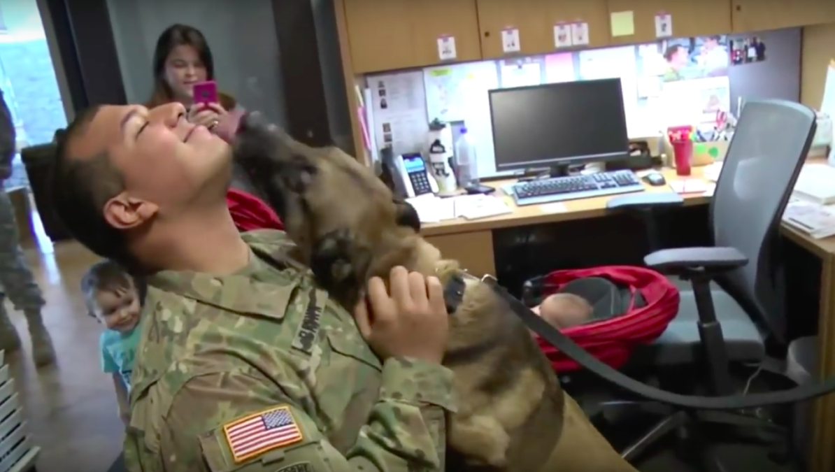 US Military Videos & Photos