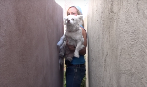 YouTube- Hope for Paws