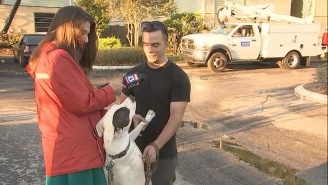 Fox 13 News