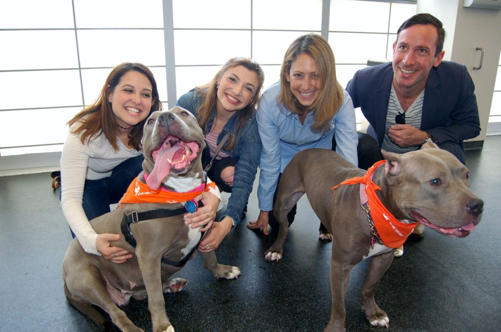 ASPCA