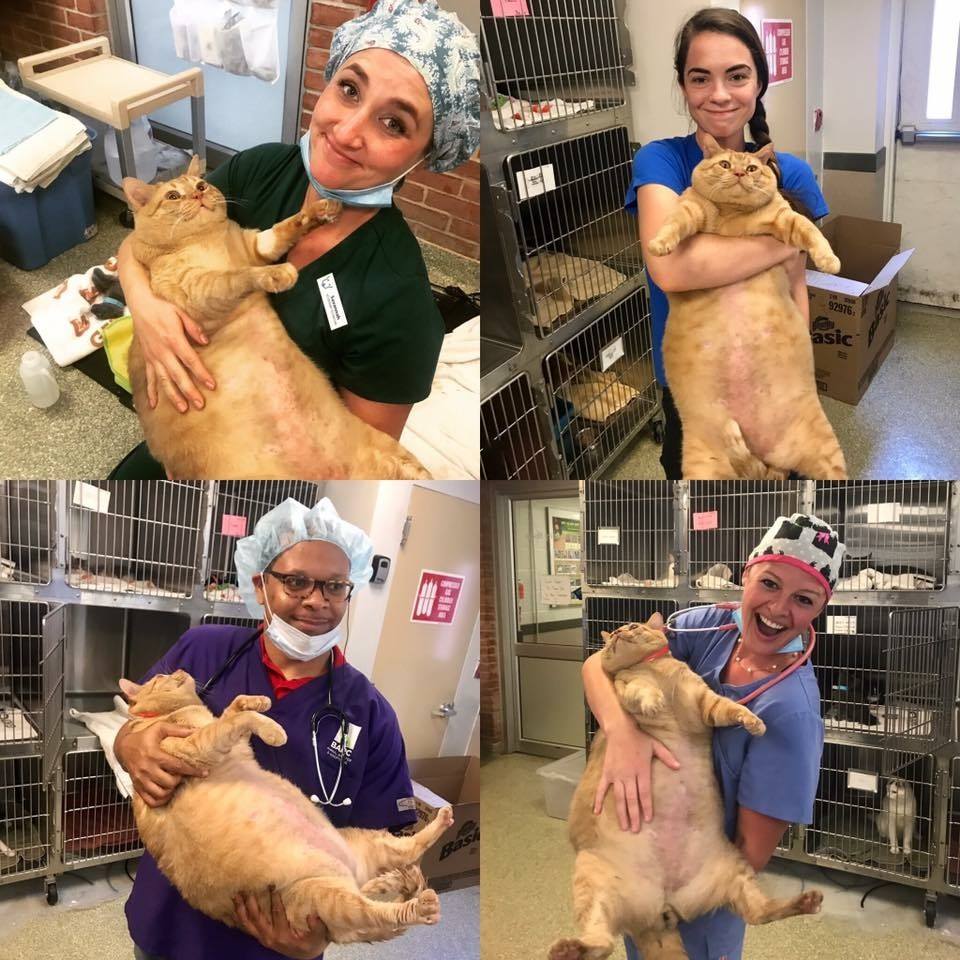 Humane Rescue Alliance
