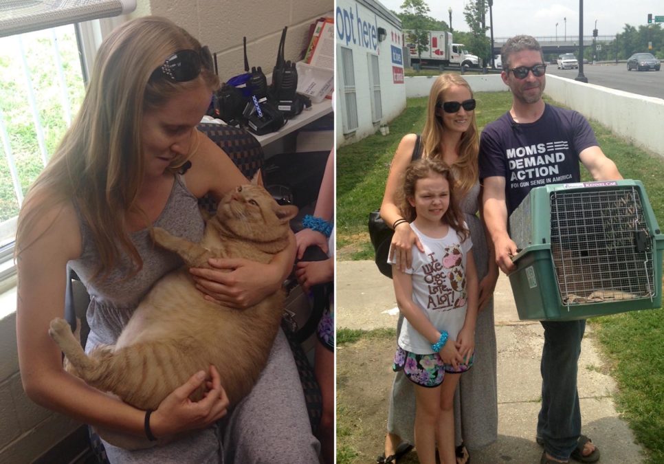 Humane Rescue Alliance