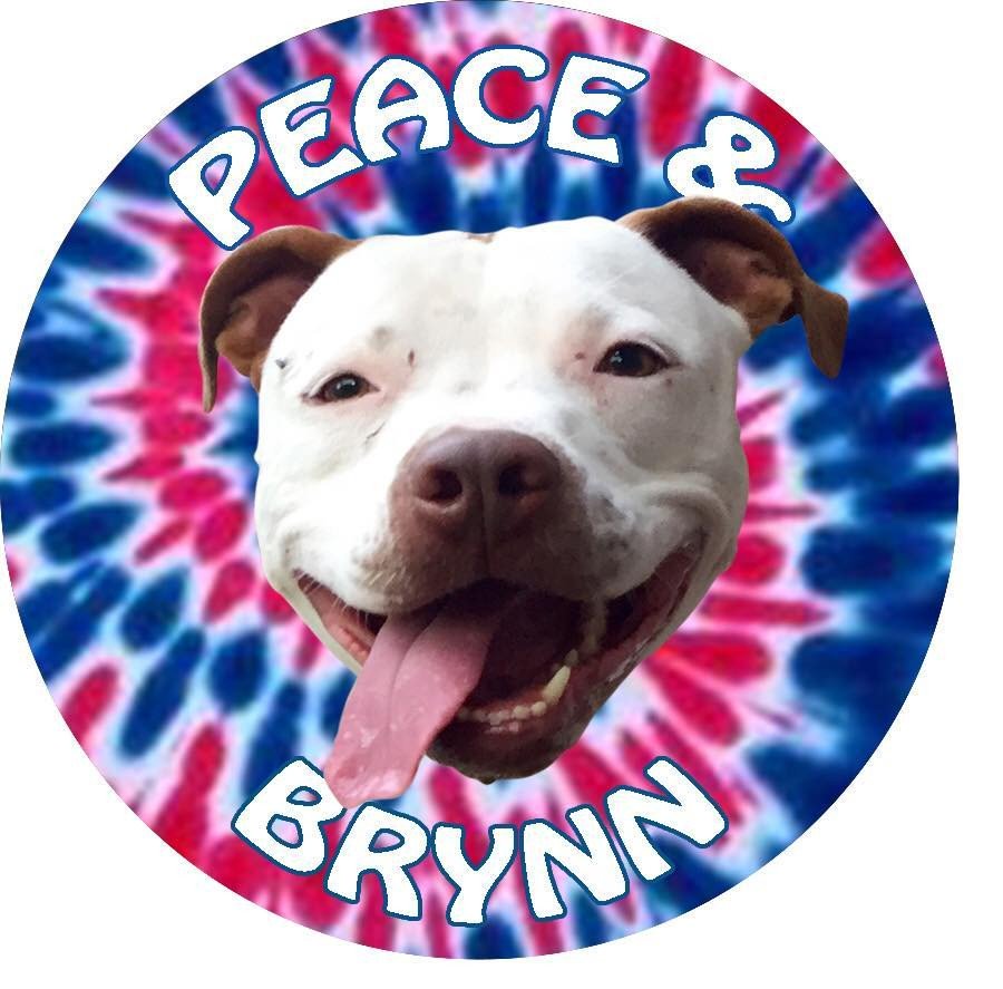 Facebook/Mayor Brynn