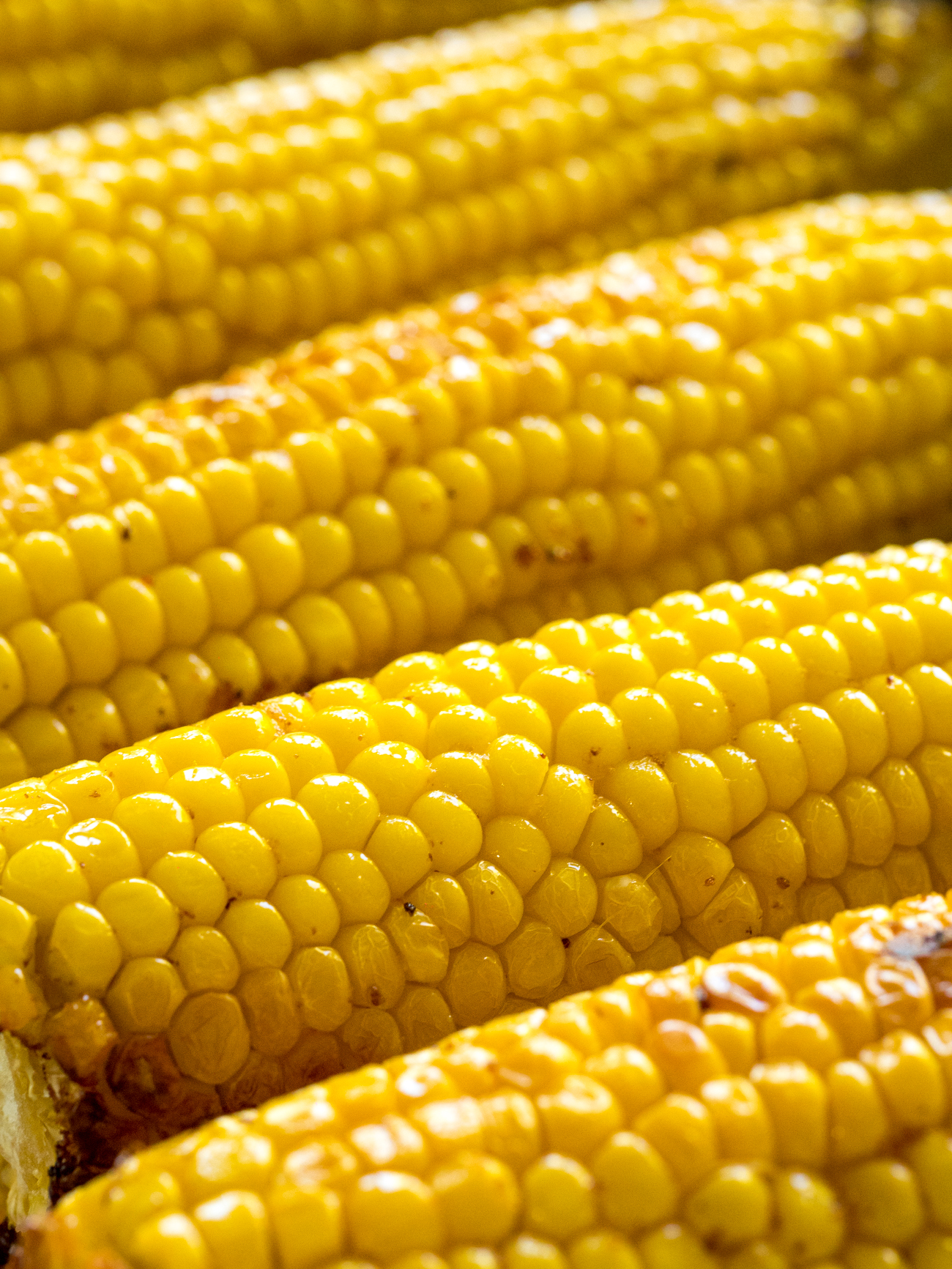 Oven-Roasted Corn Vertical 2