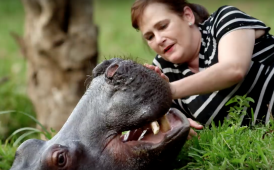 YouTube- Animal Planet