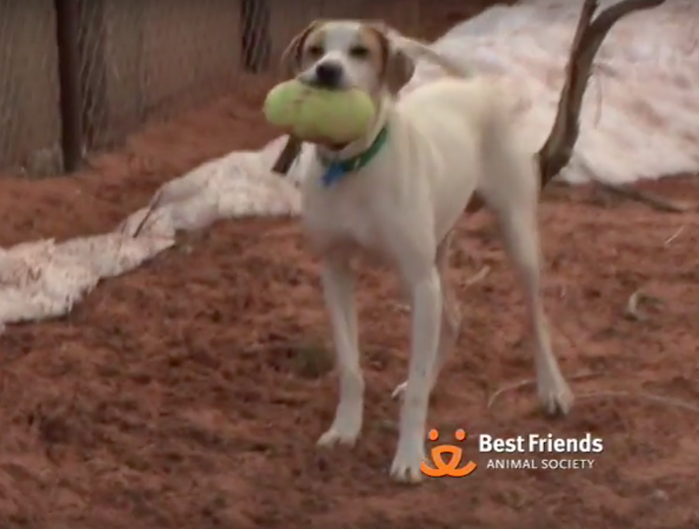 Best Friends