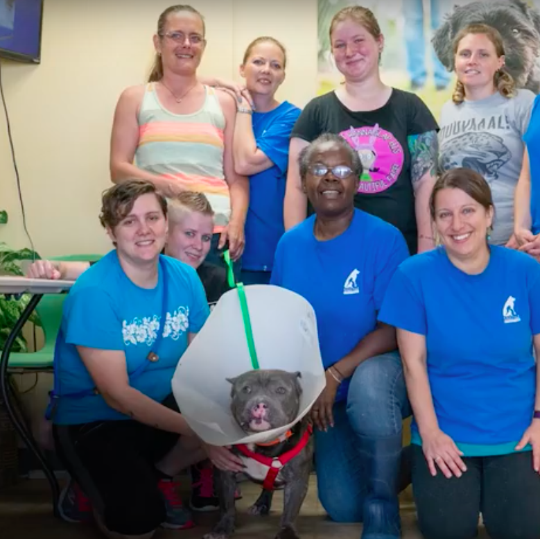 Norfolk Animal Care Center