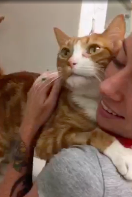 ASPCA