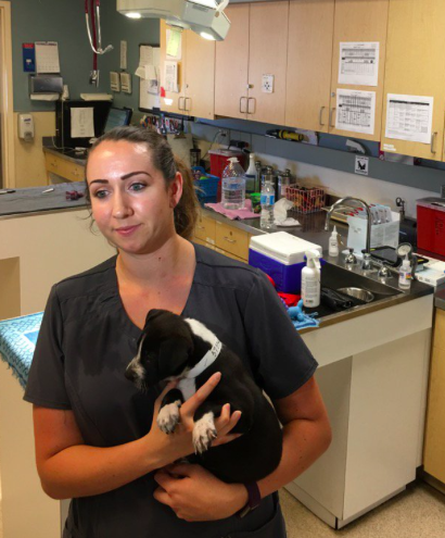 Twitter: @helpinRIVcoPETS