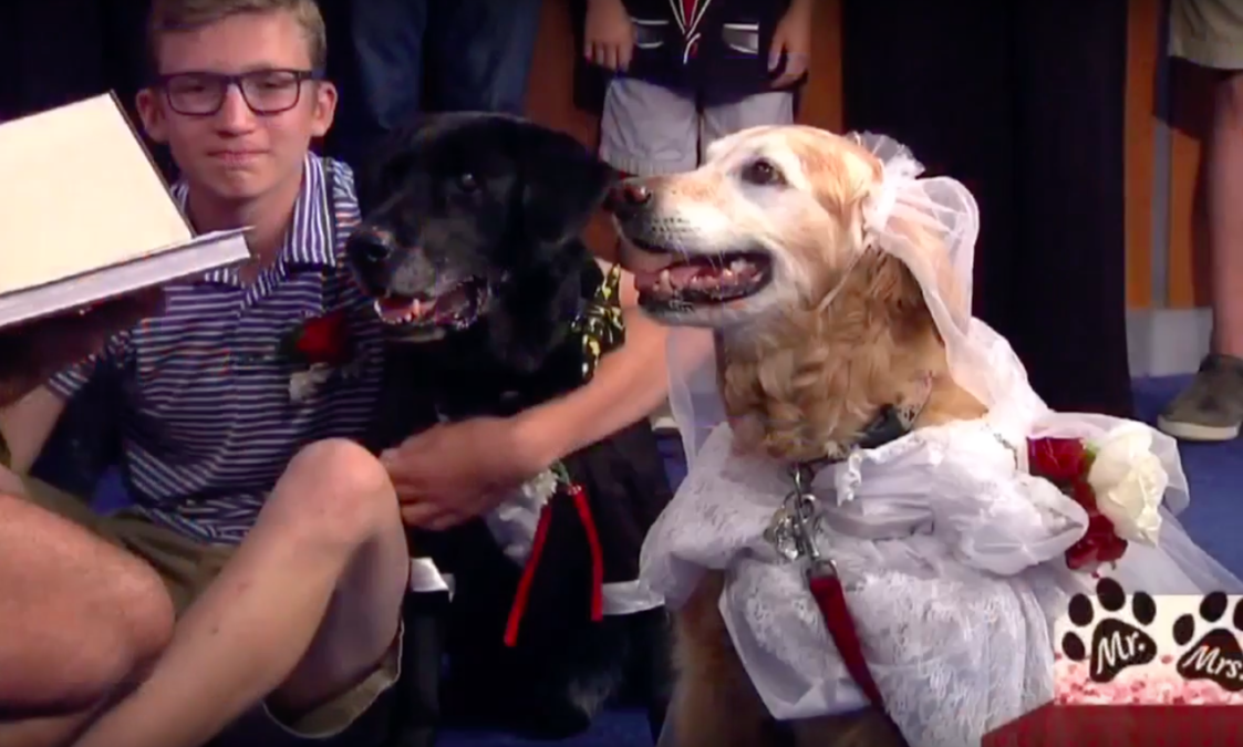 Fox 8 News