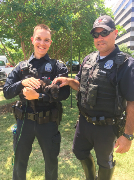 twitter/@ArlingtonVaPD
