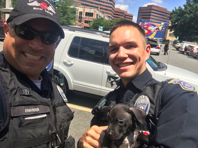 twitter/@ArlingtonVaPD