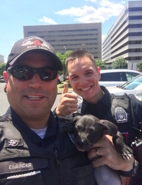twitter/@ArlingtonVaPD