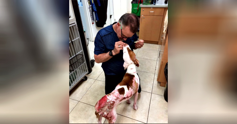 Photo: Facebook/ Jupiter Pet Emergency & Specialty Center