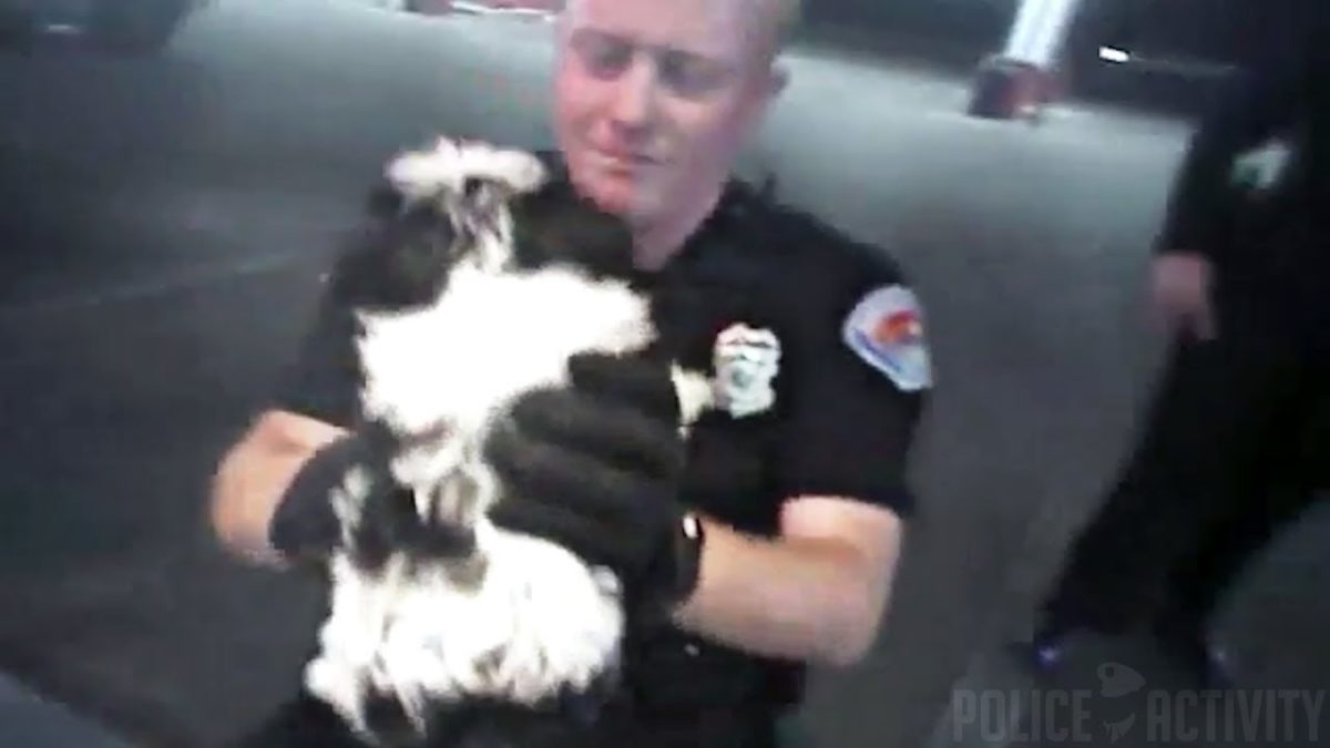 Albuquerque Police Dept