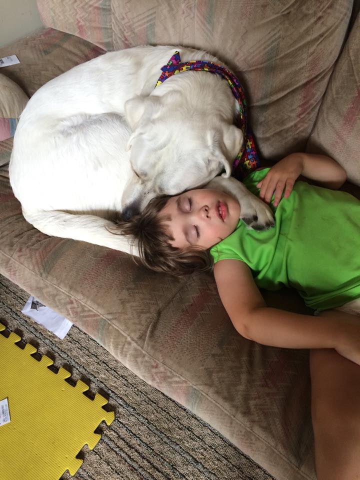 Adventures of Tupper and Lego