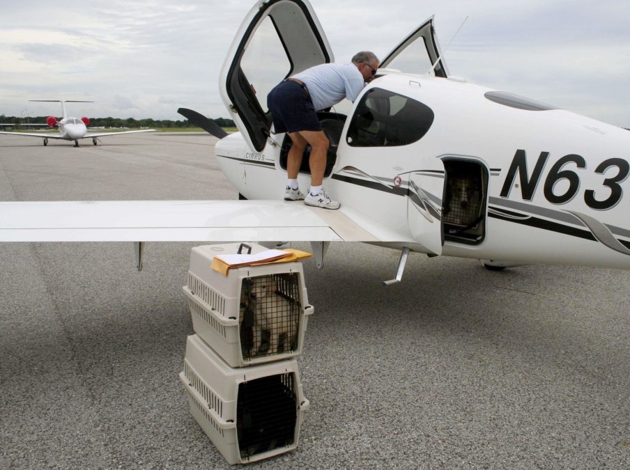 Pilots N Paws