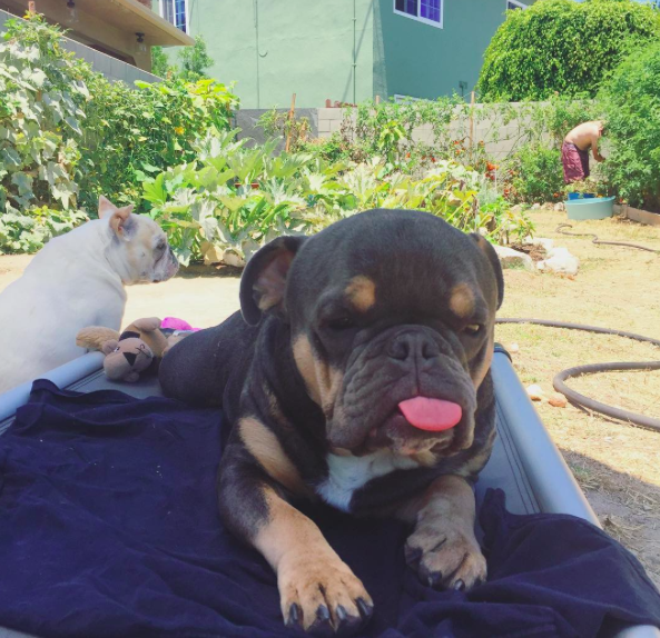 instagram/montgomerytwix
