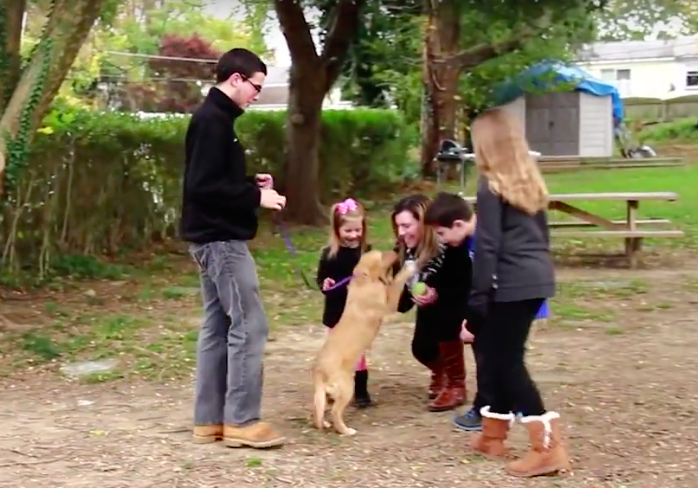 pet360