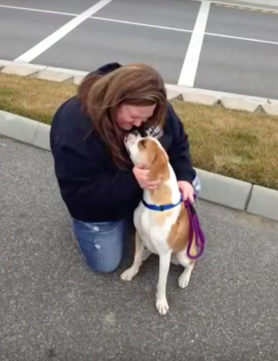 NWBoxerRescue