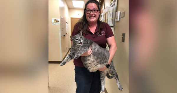 Source: Facebook/Chatham County Animal Shelter