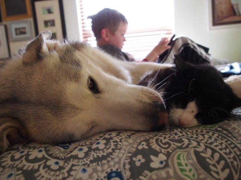 best friends