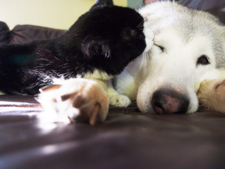 best friends
