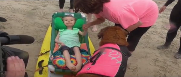 (Photo courtesy of Surf Dog Ricochet/YouTube page)