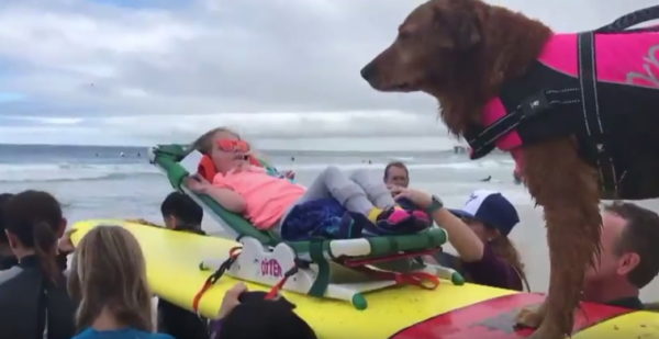 (Photo courtesy of Surf Dog Ricochet/YouTube page)