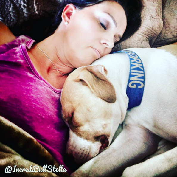 instragram/incredibullstella
