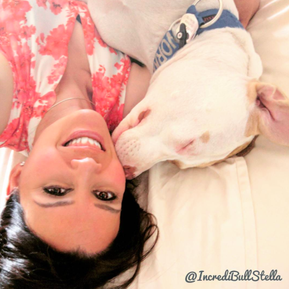 instragram/incredibullstella
