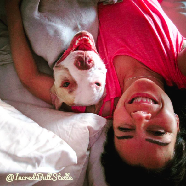 instragram/incredibullstella