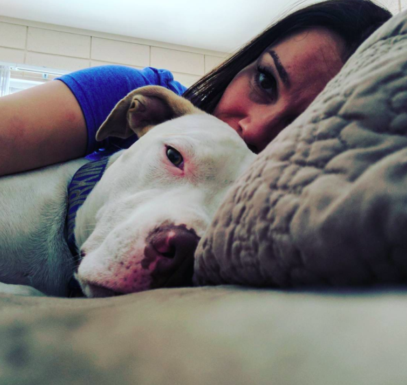 instragram/incredibullstella
