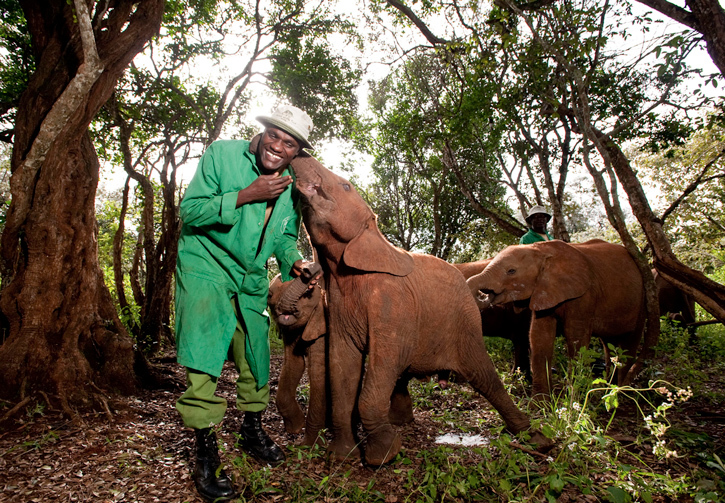 The David Sheldrick Wildlife Trust