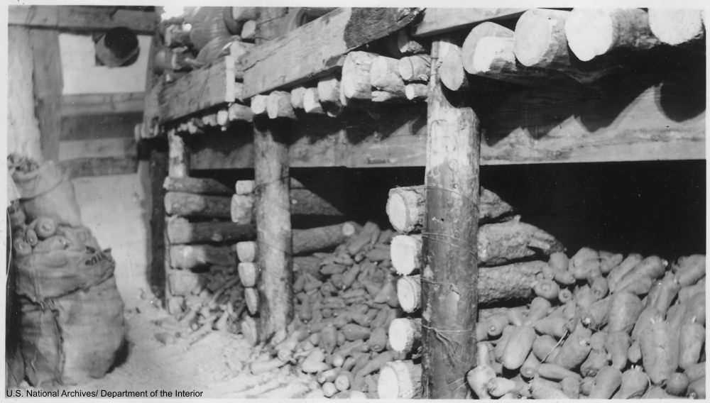 Descriptive essay the old root cellar image