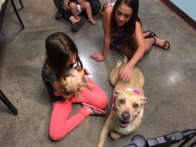 Maricopa County Animal Care & Control (MCACC)