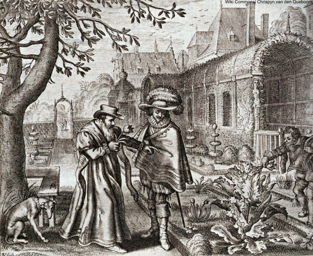 The Dutch Tulip Mania Known As Tulpenwoede