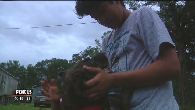 Fox 13