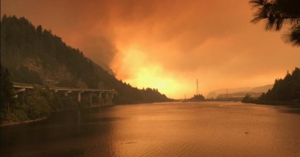 U.S. Forest Service