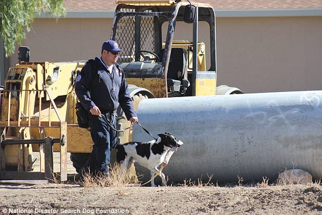 National Disaster Search Dog Foundation