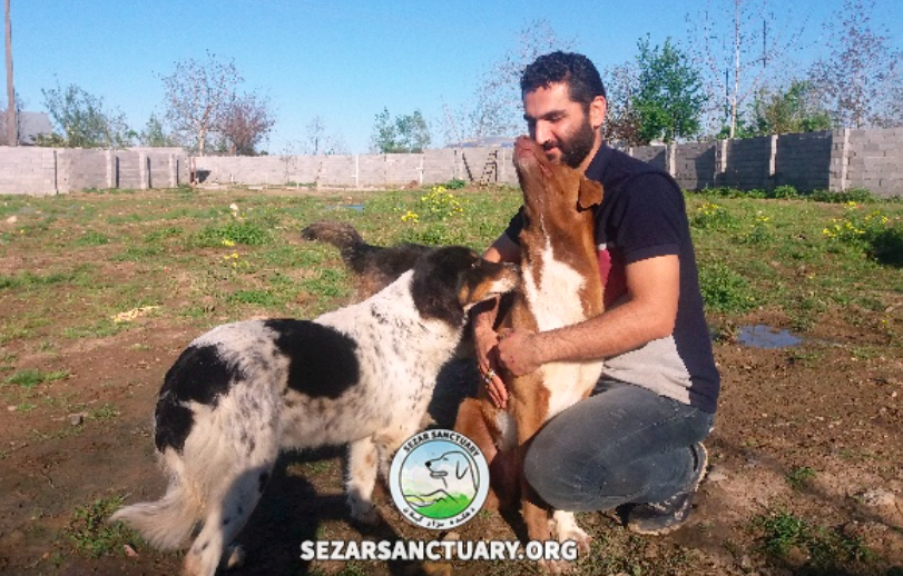 sezar sanctuary