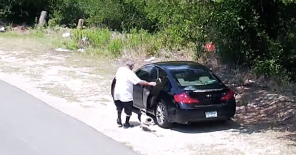 Source: Facebook/SPCA of Texas Gorge Spears drove a dog out to this stretch of road in Dallas where animals are often abandoned.