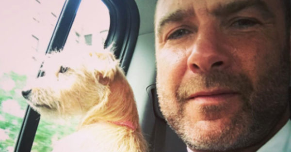Source: Instagram/lievschreiber
