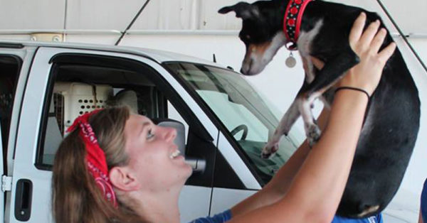 Source: Facebook/Home for Good Dogs Rescue
