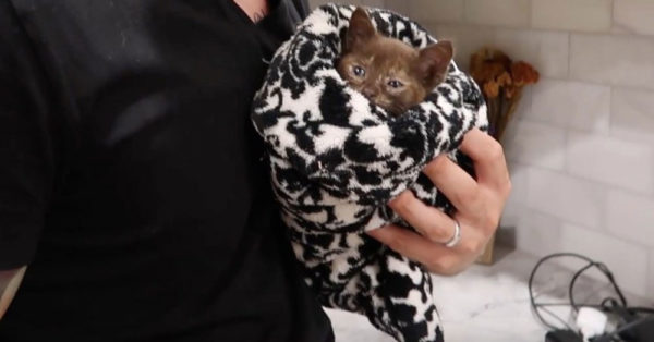 Source: YouTube/Charles and Allie - CTFxC