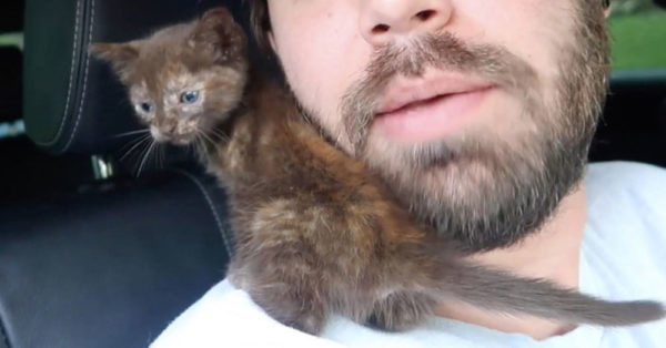 Source: YouTube/Charles and Allie - CTFxC