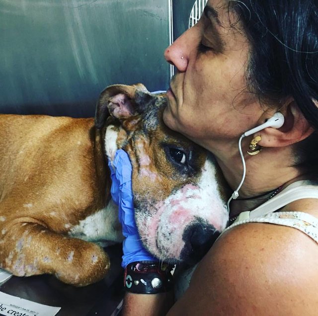 LifeLine Animal Project