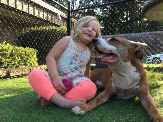 LifeLine Animal Project