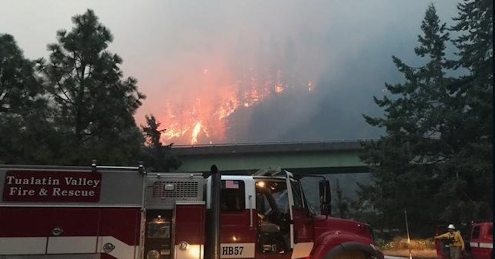 U.S. Forest Service