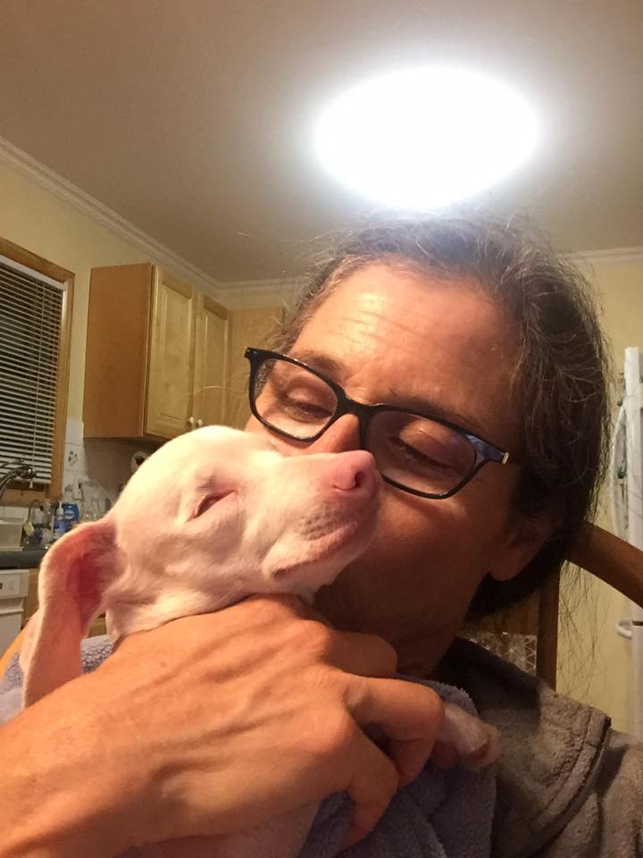 facebook/Piglet, the deaf blind pink puppy